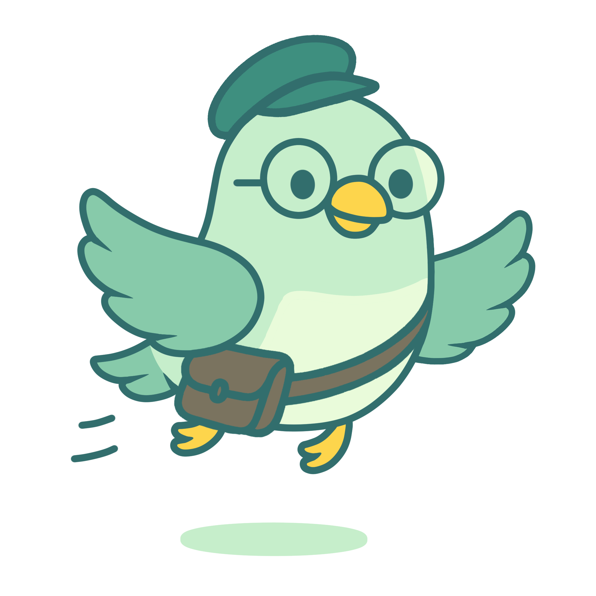 Fly Daily